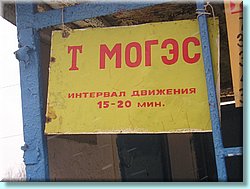1037.JPG