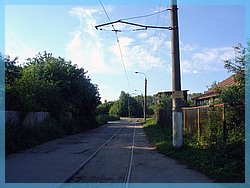 DSC04813.JPG