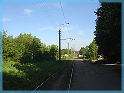 DSC04818.JPG
