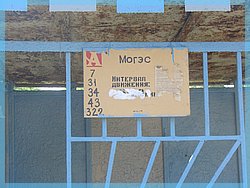 DSC04858.JPG