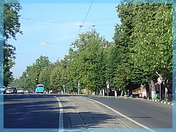 DSC04871.JPG