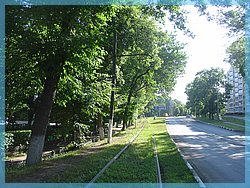 DSC04911.JPG