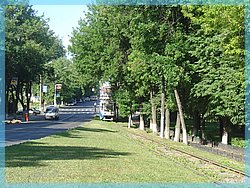 DSC04916.JPG