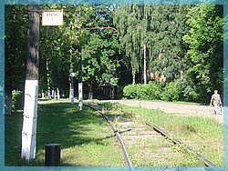DSC04920.JPG
