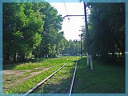 DSC04923.JPG