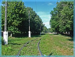 DSC04924.JPG