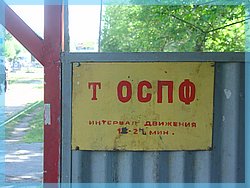 DSC04946.JPG