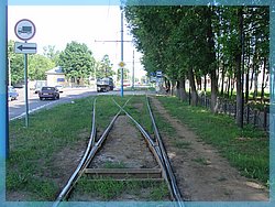 DSC04973.JPG