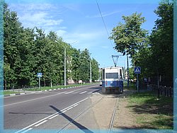 DSC04984.JPG