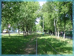 DSC04994.JPG