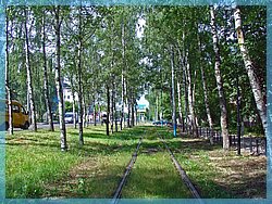 DSC05002.JPG