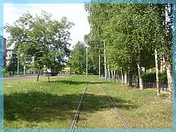 DSC05007.JPG