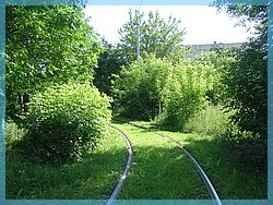 DSC05011.JPG