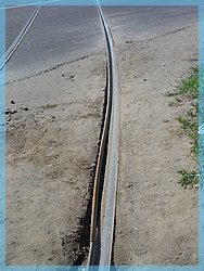 DSC05015.JPG