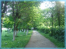 DSC04846.JPG