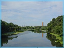 DSC04959.JPG