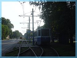 DSC07352.JPG