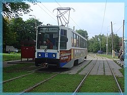 DSC07430.JPG
