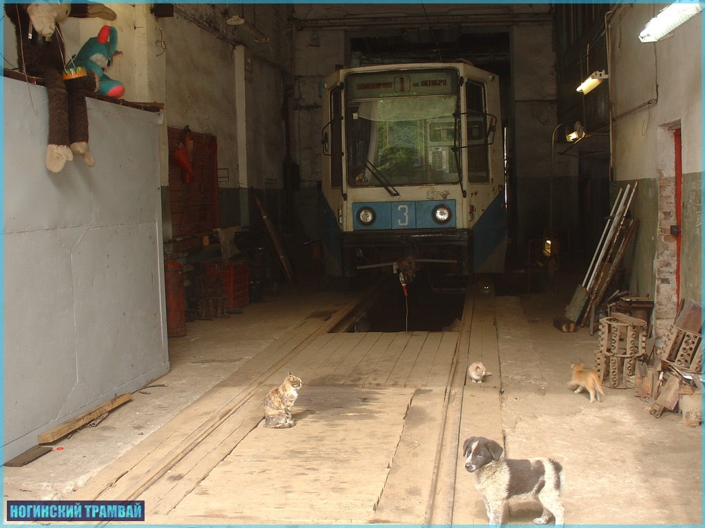 DSC07458.JPG