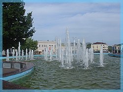 DSC07396.JPG