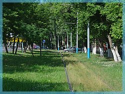 DSC05060.JPG