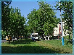 DSC05061.JPG
