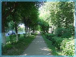 DSC05048.JPG