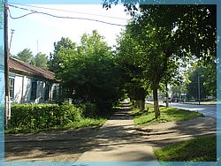 DSC05049.JPG