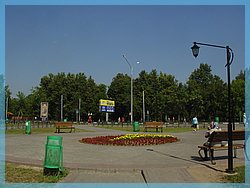DSC05075.JPG