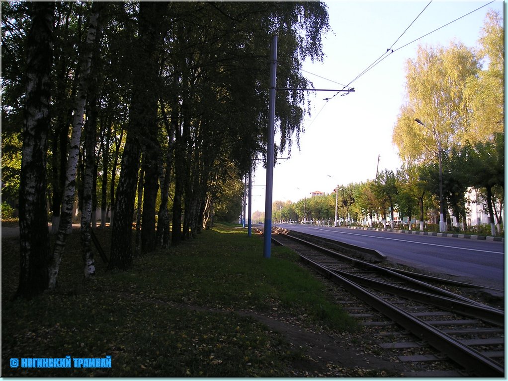 1095.JPG