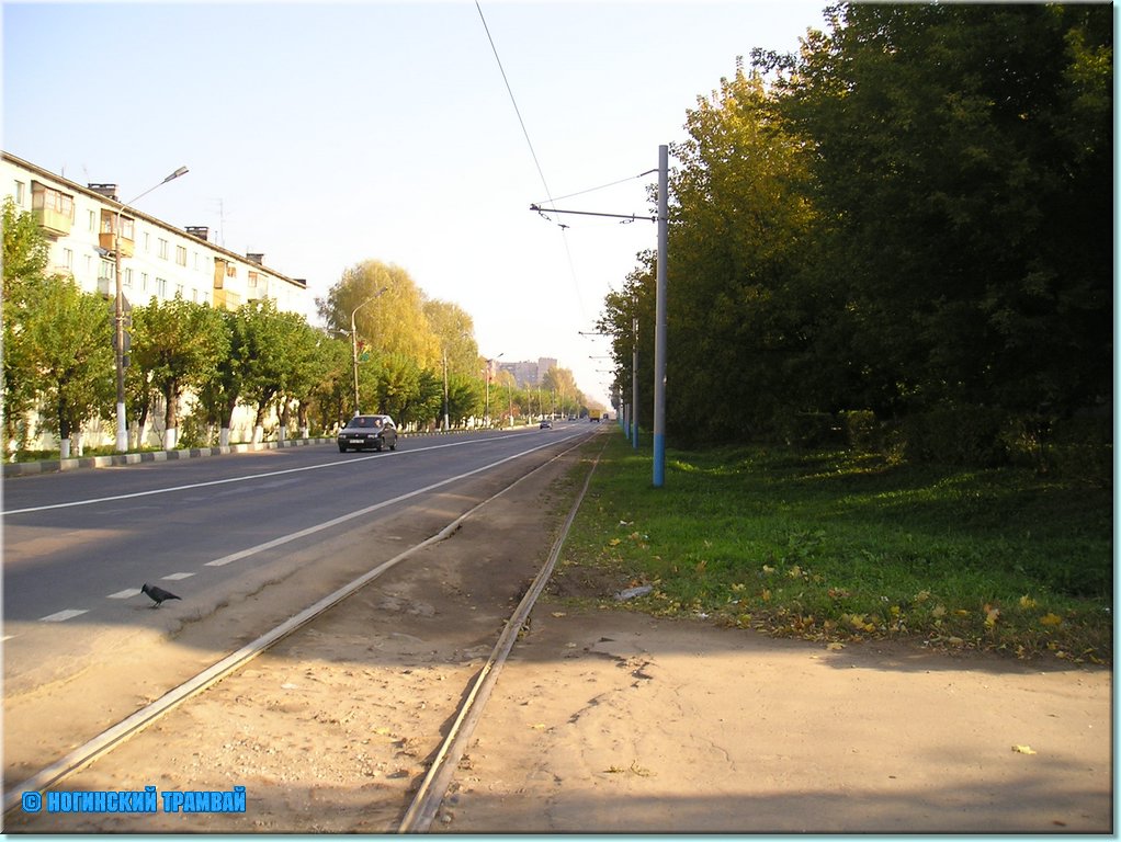 1104.JPG