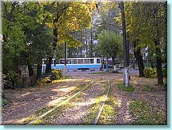 1091.JPG