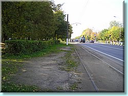 1105.JPG