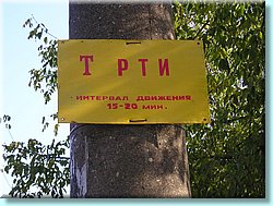 1106.JPG