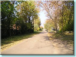 1119.JPG