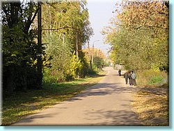 1120.JPG