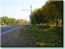 1129.JPG