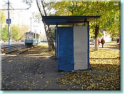 1141.JPG