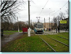 1161.JPG