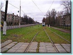 1163.JPG
