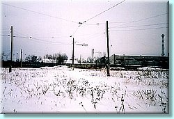 gor002.jpg