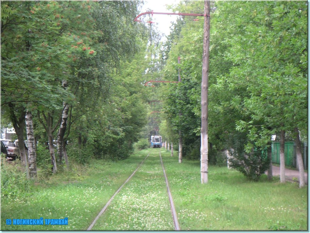 PICT1893.JPG