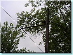 PICT1892.JPG