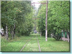 PICT1893.JPG