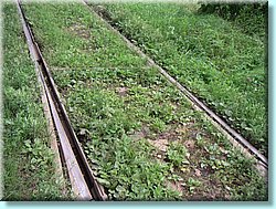 PICT1899.JPG
