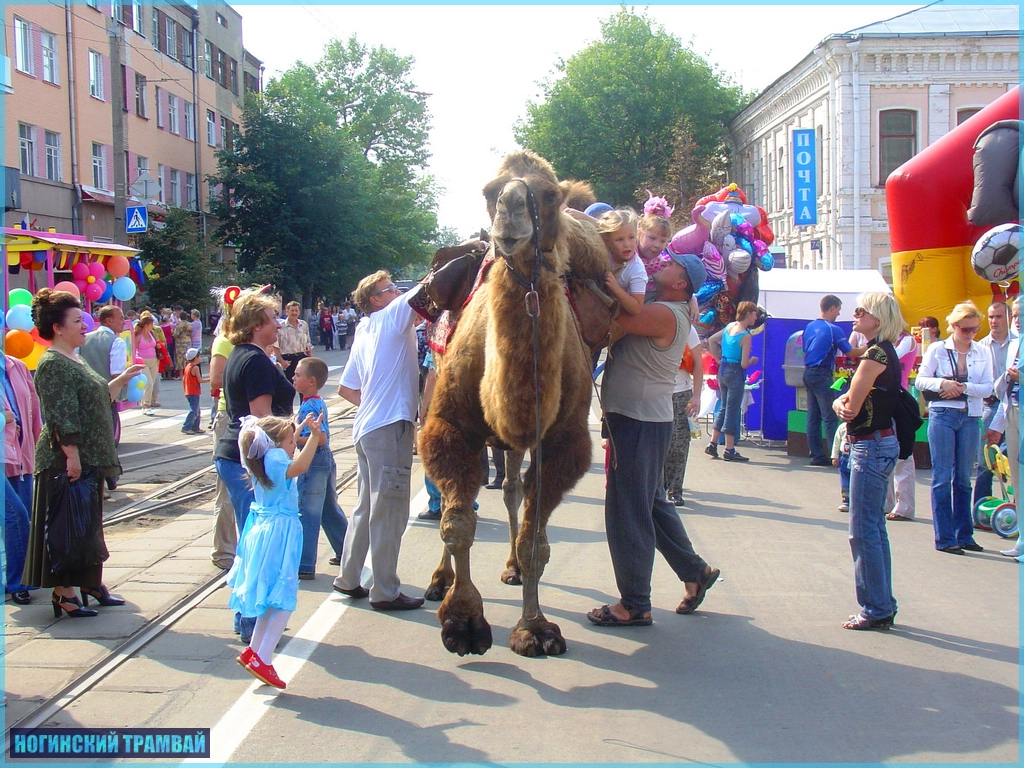 DSC09805.JPG