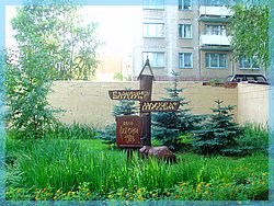 DSC09831.JPG