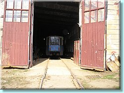 1008.JPG
