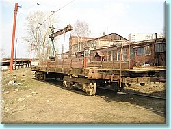 1019.jpg