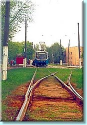p1.jpg